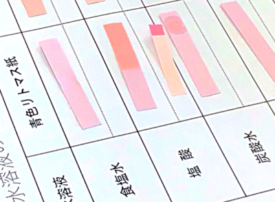 ６年松組_理科_赤松等_水溶液の性質(11月最終週) (4)a