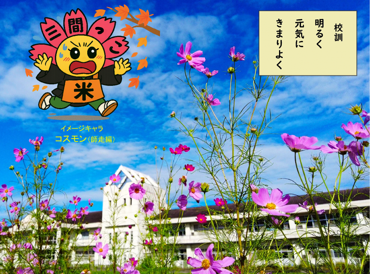 HPtop_コスモス_師走編