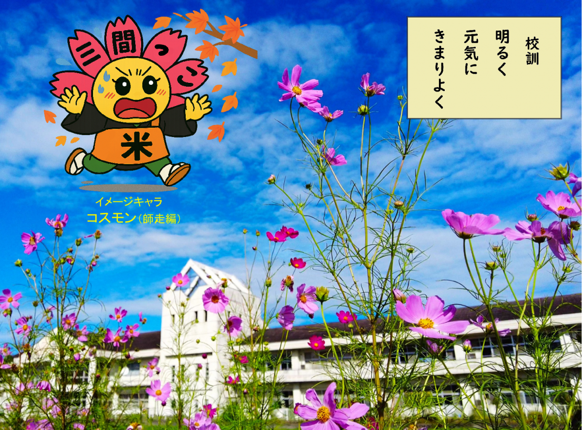 HPtop_コスモス_師走編